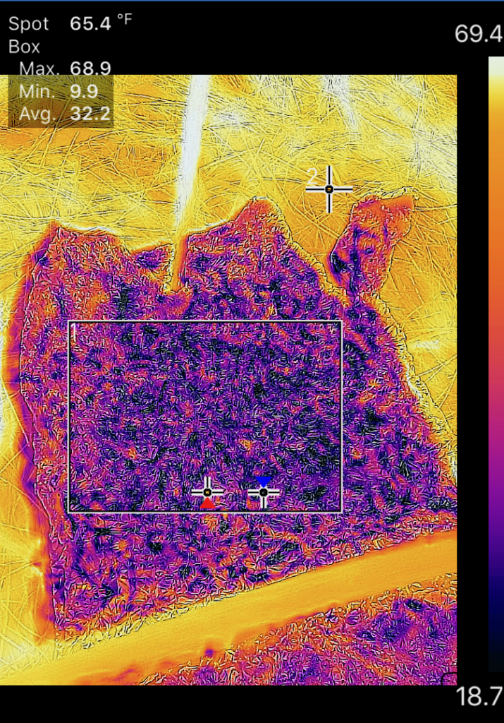 infrared image analysis