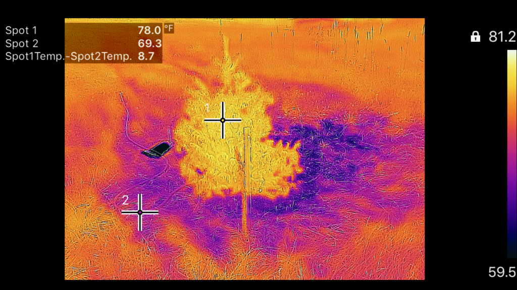 infrared image analysis